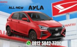 all-new-ayla