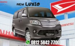 new-luxio